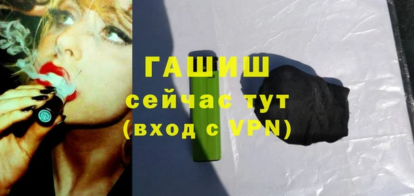 шишки Бородино