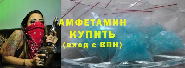шишки Бородино