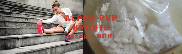 шишки Бородино