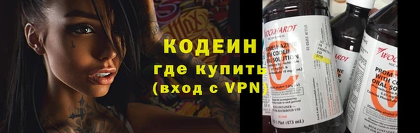 шишки Бородино