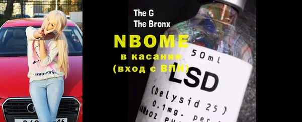 шишки Бородино