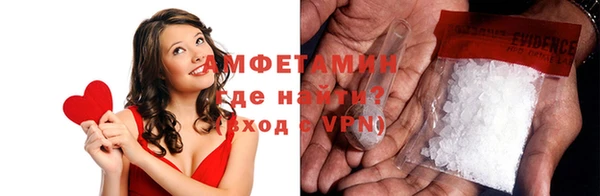 шишки Бородино