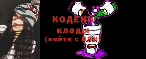 шишки Бородино