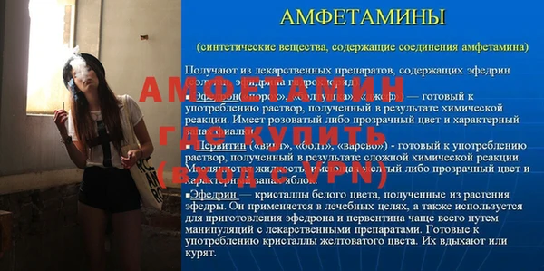 шишки Бородино
