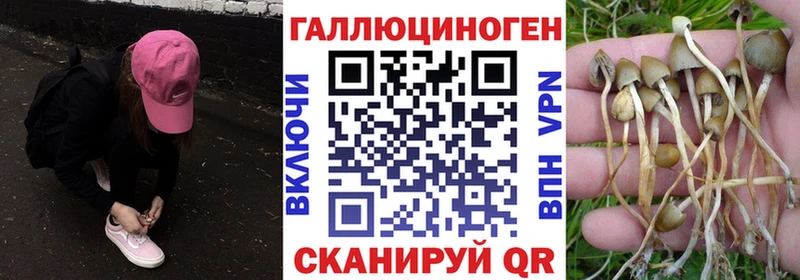 Галлюциногенные грибы Cubensis  где купить наркоту  Нытва 